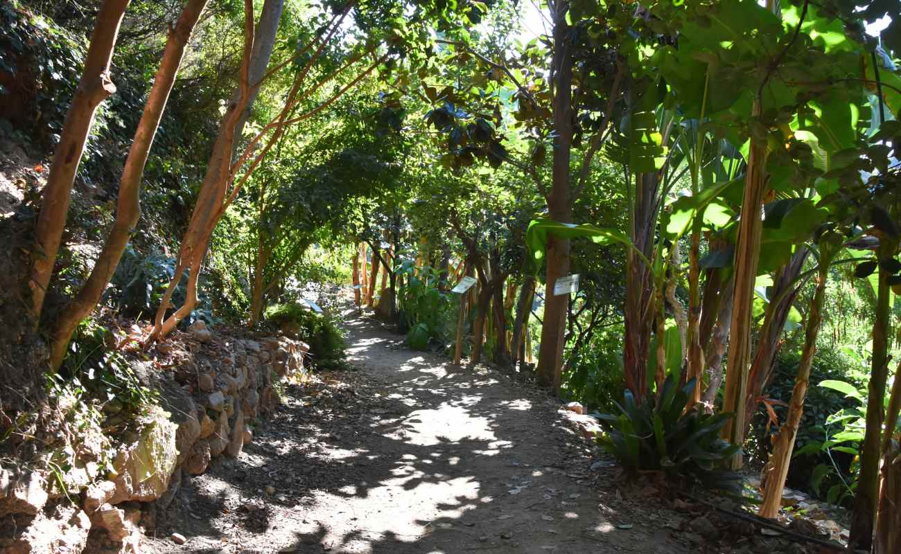 Botanical-Park-2